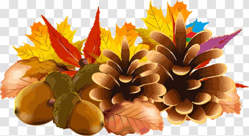 Thanksgiving Day El Dia De Accion Gracias Spanish Clip Art - Thanks Giving Transparent PNG
