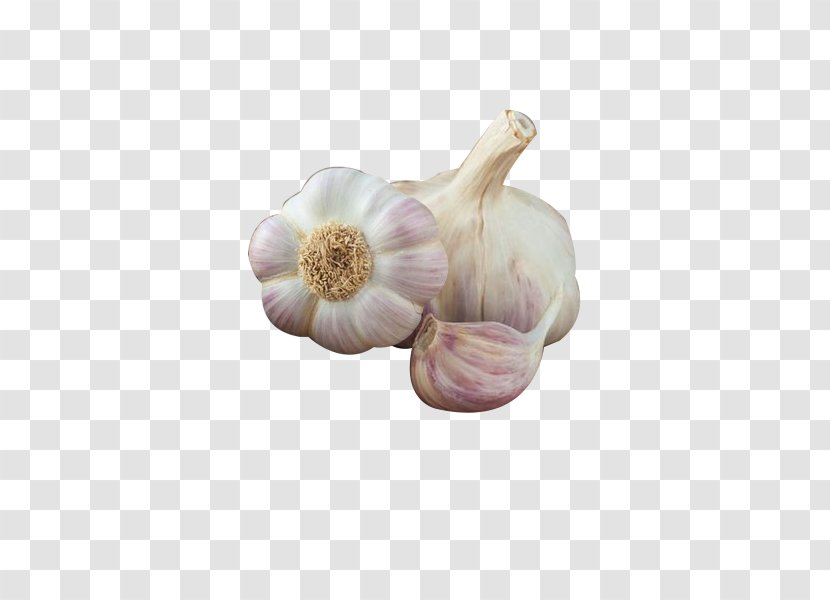 Organic Food Garlic Vegetable Fruit - Flower - Vegetables Transparent PNG