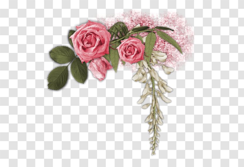 Garden Roses Flower Party - Bouquet - Kenar Transparent PNG