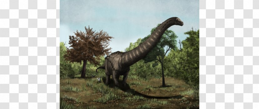 Dreadnoughtus Velociraptor Talenkauen Dinosaur Deinonychus - Fauna Transparent PNG