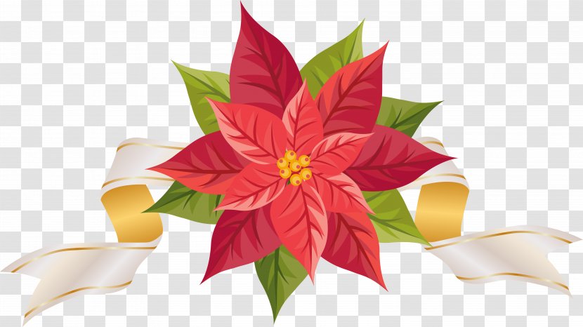 Poinsettia Clip Art - Christmas - With Ribbon Clipart Image Transparent PNG