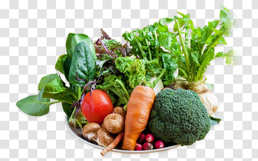 Cauliflower Spring Greens Daikon Vegetable - Superfood - Vegetables Transparent PNG