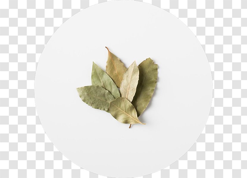 Taco Burrito Mexican Cuisine Chipotle Grill - Food - BAY LEAVES Transparent PNG