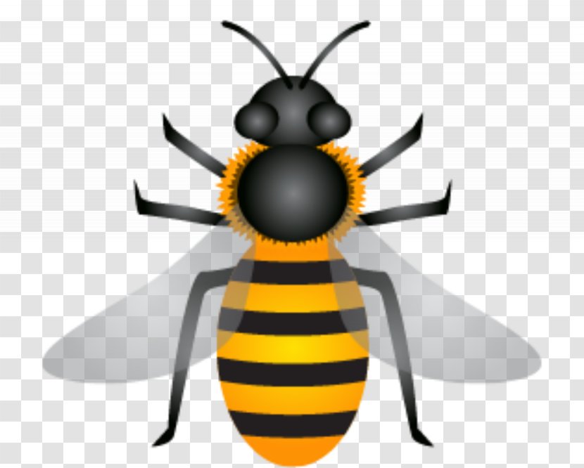 Bee Honey Euclidean Vector Apis Florea - Natural Venom Transparent PNG