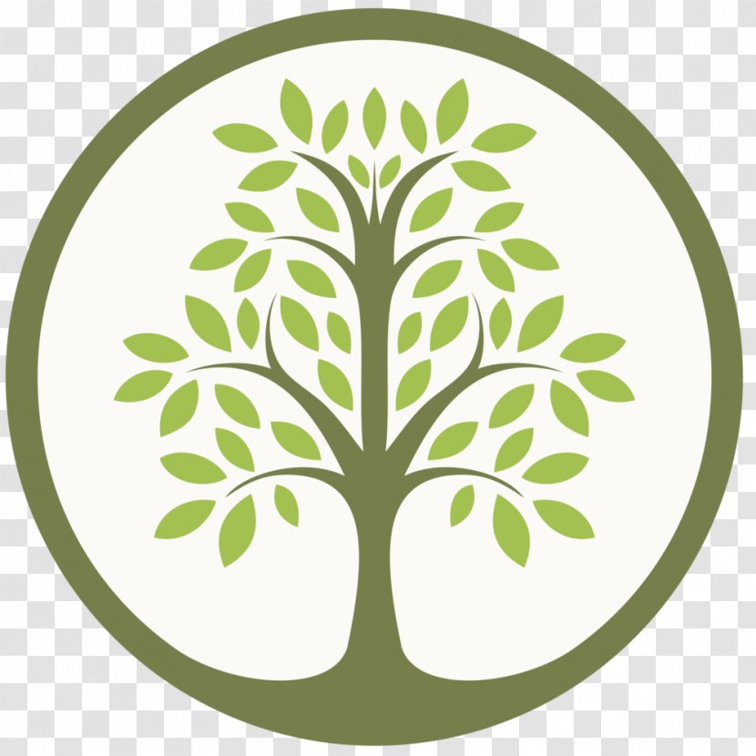 Middle Tyger Community Center Greenwood Food Bank - Area - Tree Of Life Transparent PNG