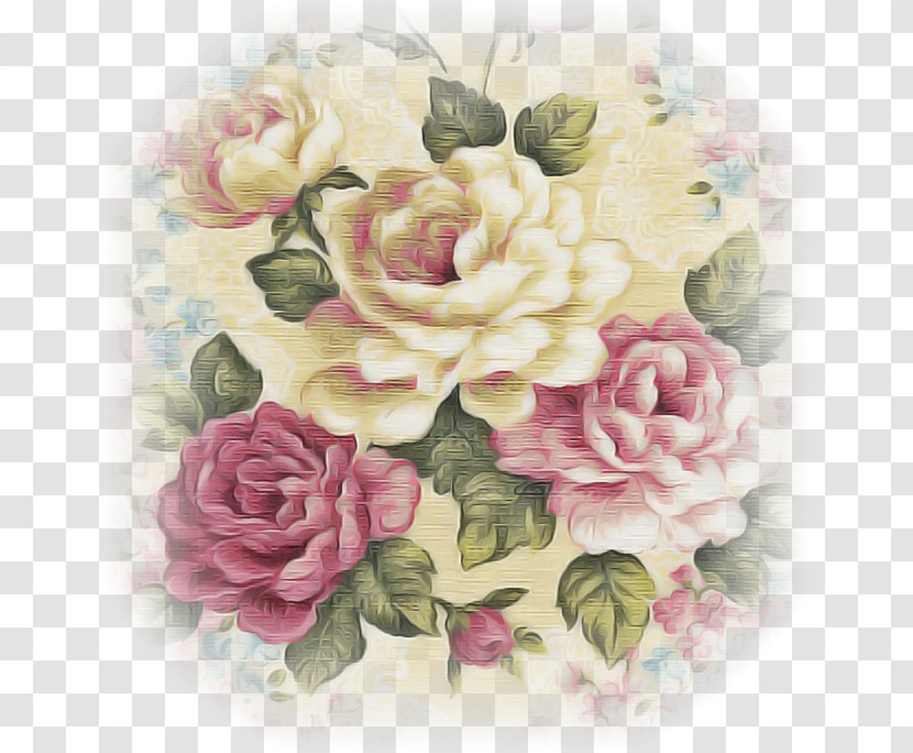 Garden Roses Transparent PNG