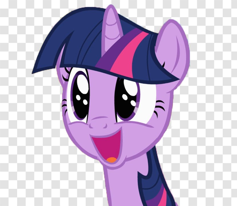 Twilight Sparkle Rarity Pony Applejack Spike - Heart - I Dont Know Transparent PNG