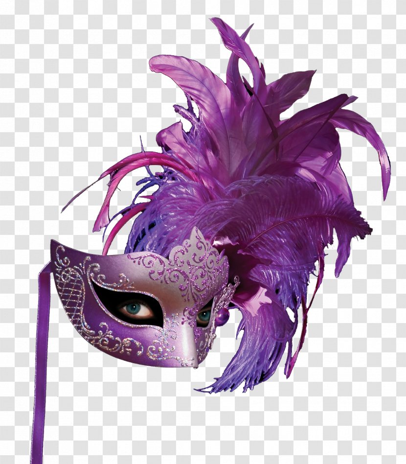 Mask Purple Feather - Masque - Masks Transparent PNG