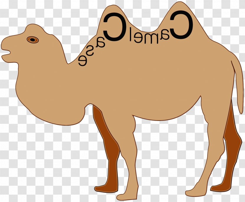 Dog Cartoon - Camel - Livestock Fawn Transparent PNG