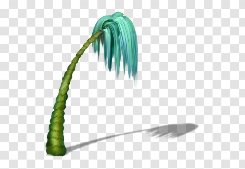 Plants - Grass Skirts And Coconuts Transparent PNG