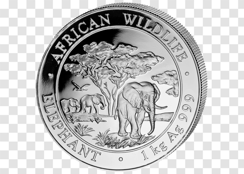 African Elephant Silver Coin Elephantidae - American Eagle Transparent PNG