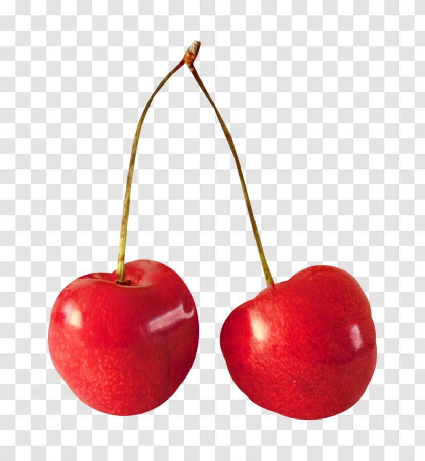 Cherry Fruit Cerasus Berry - Almond - 2 Cherry,cherries Transparent PNG