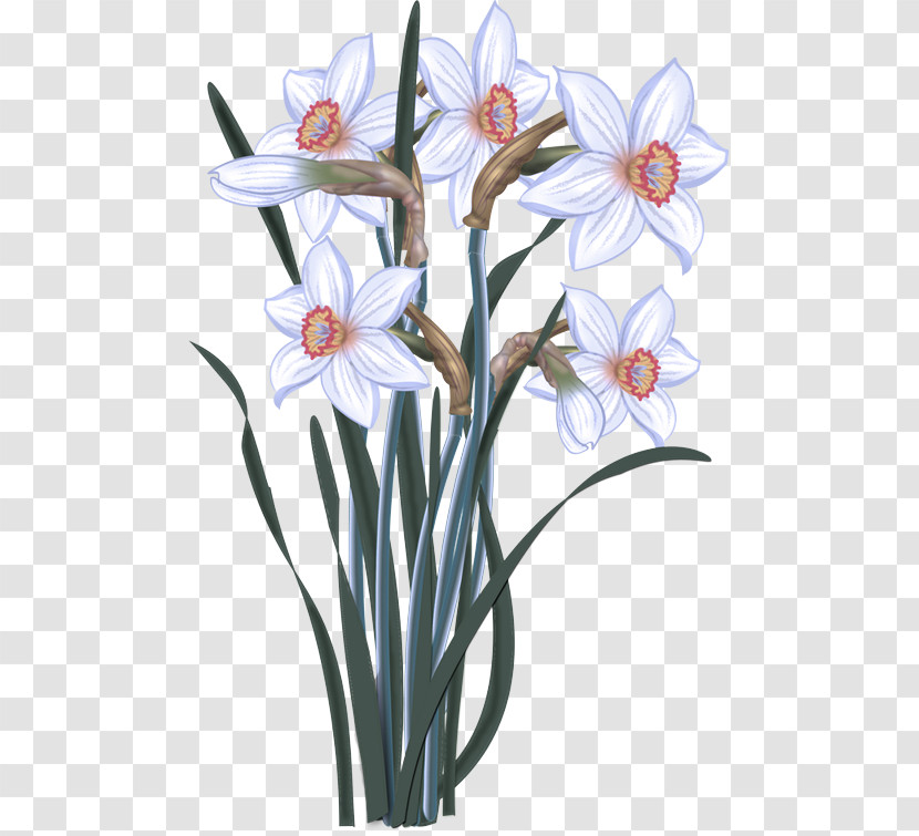 Watercolor Painting Daffodil Drawing Painting Plants Transparent PNG