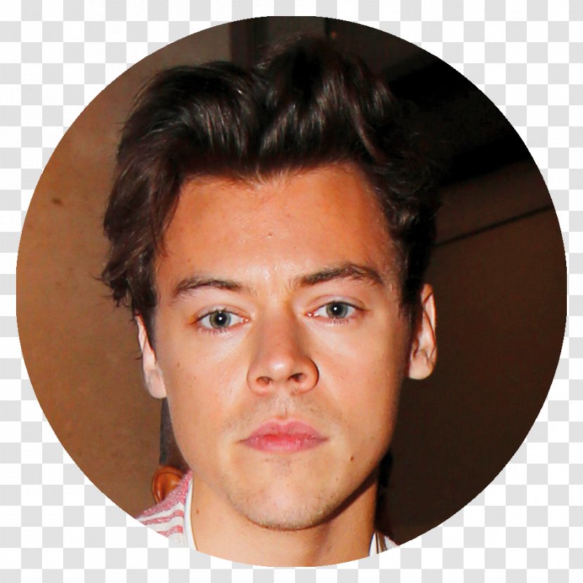 Harry Styles The X Factor Singer-songwriter Celebrity - Frame - Leonardo Dicaprio Transparent PNG