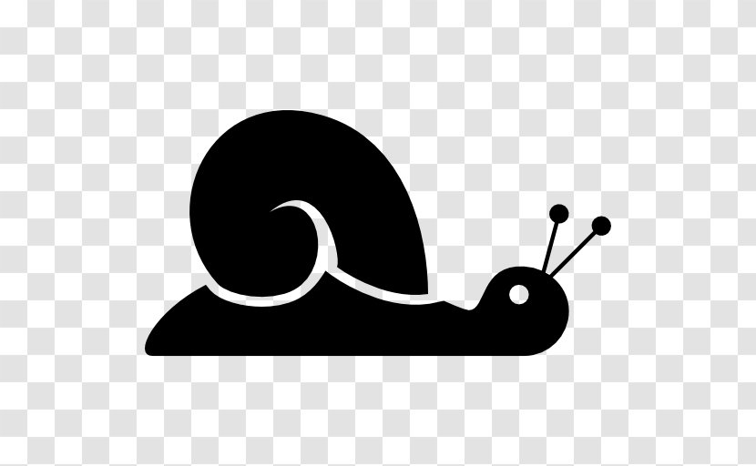 Snail Clip Art - Black And White Transparent PNG