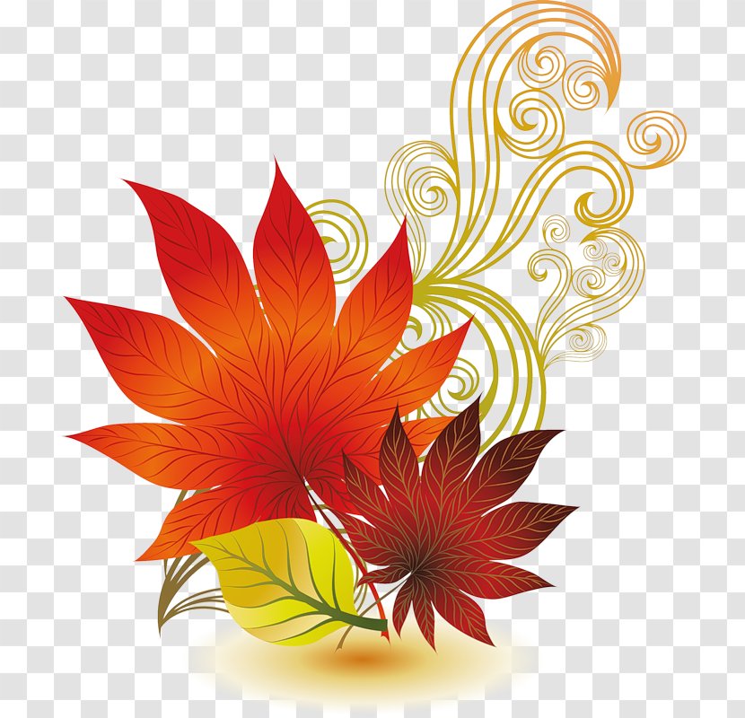 Vector Graphics Clip Art Illustration Image - Floristry - Leaf Transparent PNG