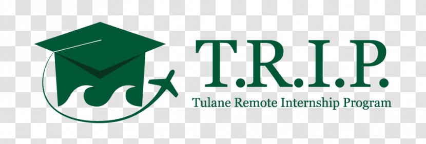 Tulane University Logo Student Green Wave Football - Job Hire Transparent PNG