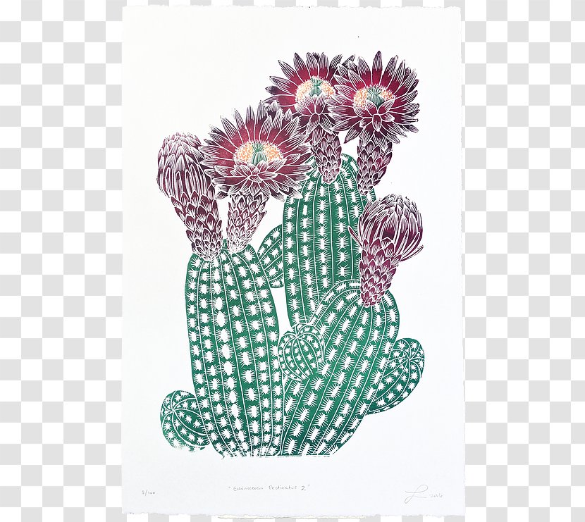Cactaceae Printing Printmaking - Watercolor Succulent Transparent PNG