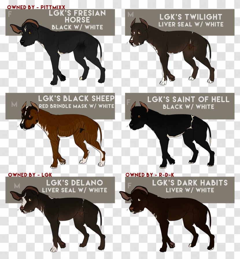 Mustang DeviantArt Stallion Pack Animal - Community - Please Do Not Litter Transparent PNG