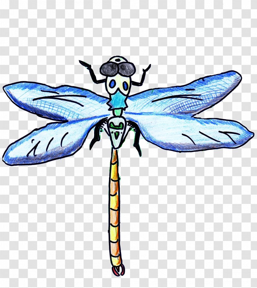 Drawing With Colored Pencils Clip Art Dragonfly - Damselfly Transparent PNG