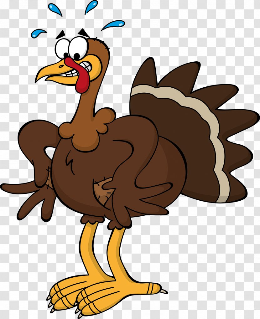 Black Turkey Thanksgiving Cartoon Clip Art - Wing - Brown Ostrich Transparent PNG