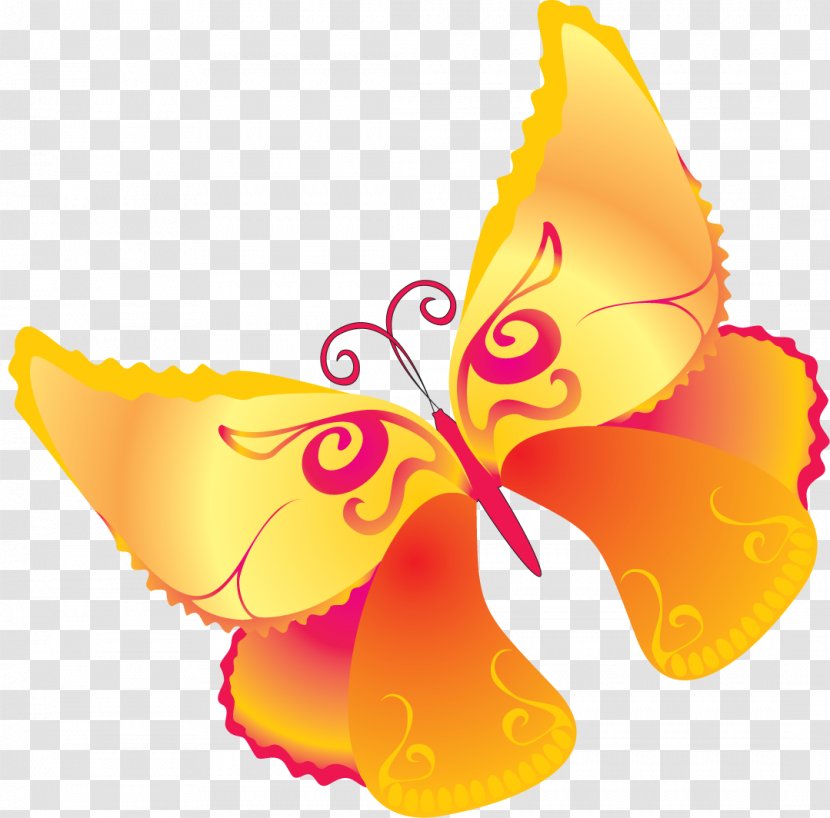 Butterfly Wing Clip Art - Information Transparent PNG