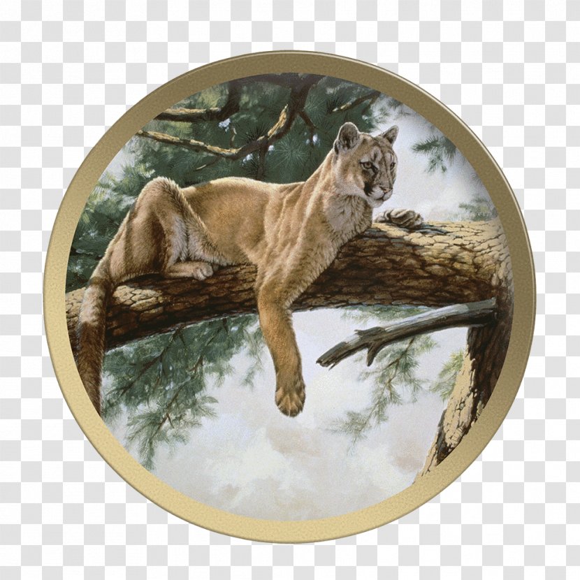 Cougar Rocky Mountain Lion Guy Coheleach's Animal Art Plate - Big Cat Transparent PNG