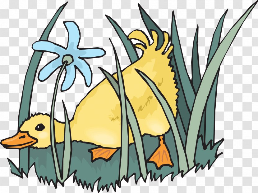 Duck Line Art Clip - Tail - Grass Cute Little Transparent PNG