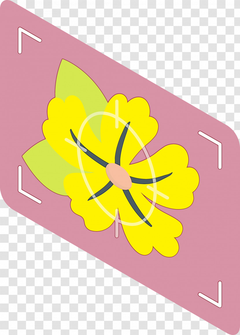 Floral Design Transparent PNG