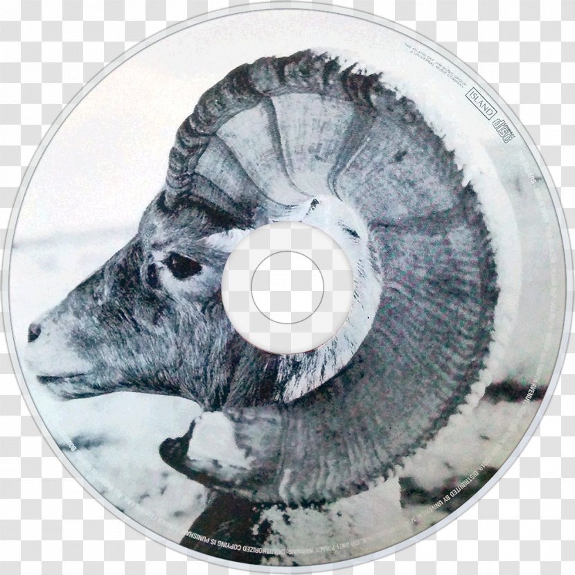 Sam's Town The Killers Wheel - Sawdust Transparent PNG