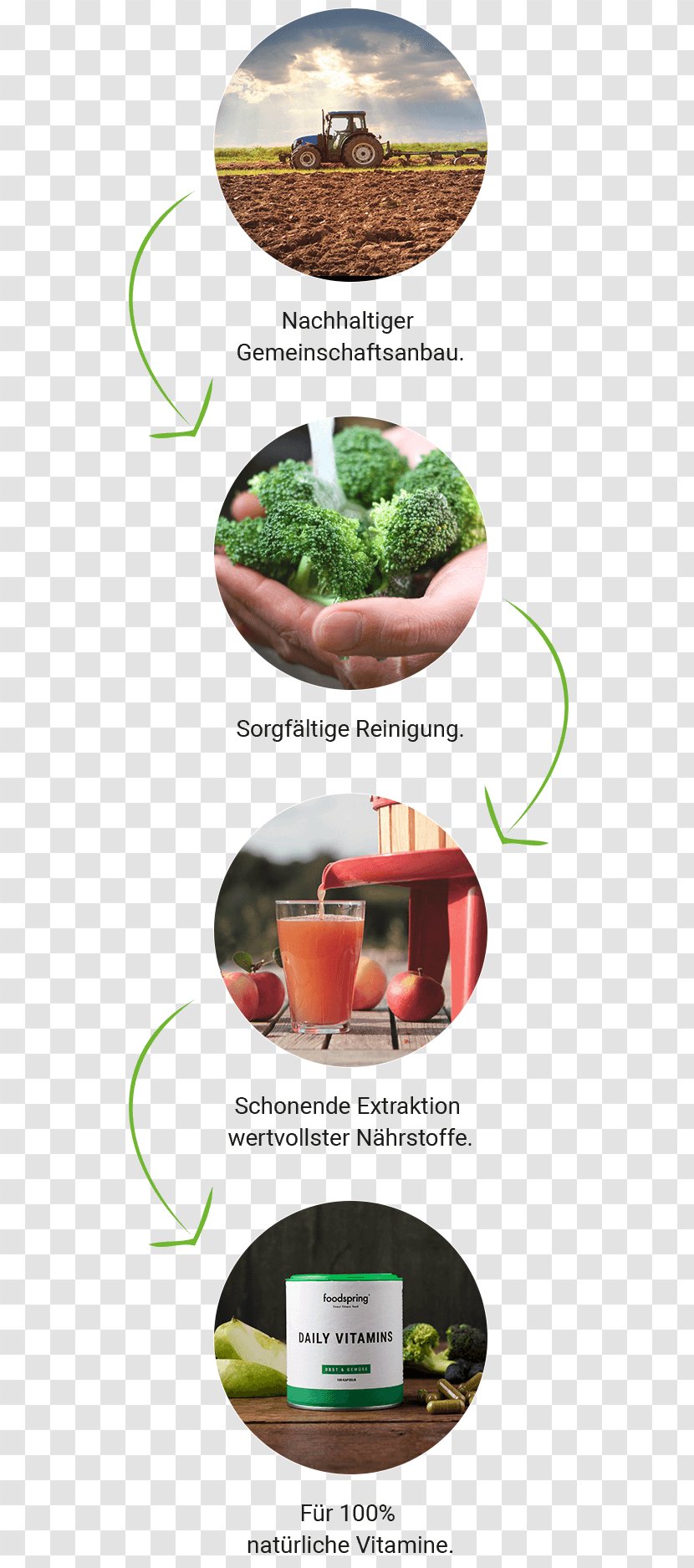 Product Design Herbalism Superfood Transparent PNG