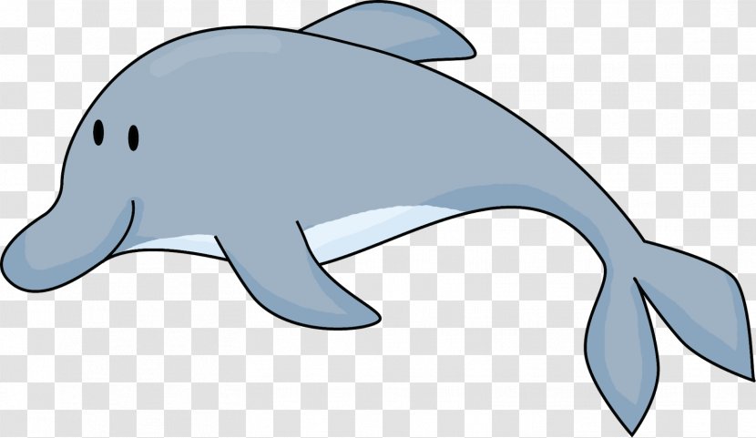 Common Bottlenose Dolphin Tucuxi Rough-toothed Porpoise Clip Art - Mammal - Fancy Cliparts Transparent PNG