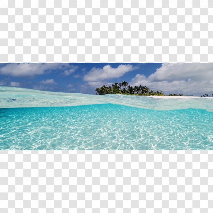 Ocean Caribbean Sea Shore Underwater - Aqua Transparent PNG