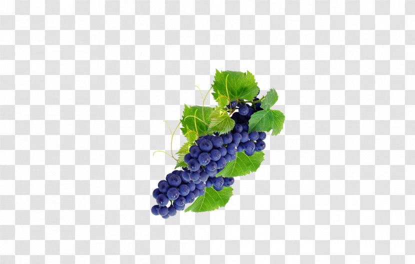 Grape Fruit Computer File Transparent PNG