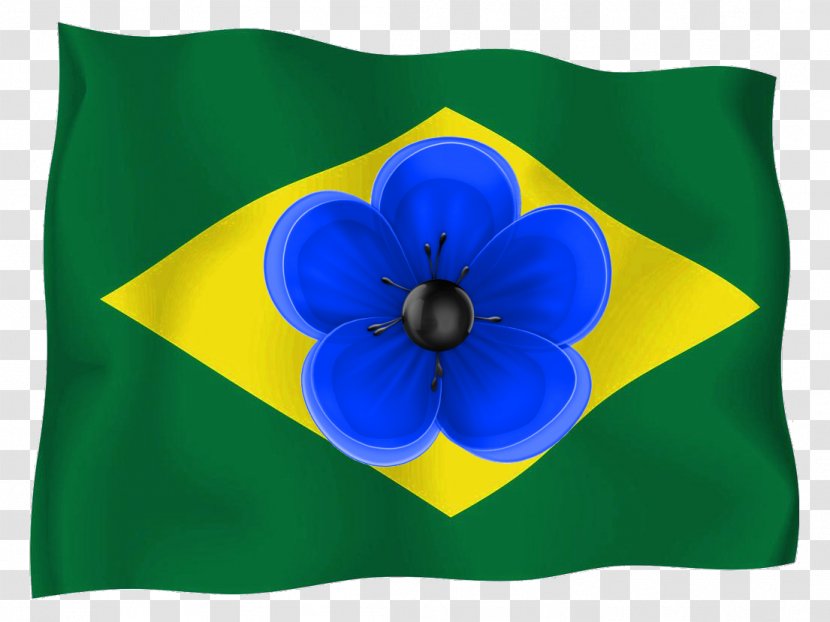 Flag Of Brazil Mexico Tocantins The United States - Petal Transparent PNG