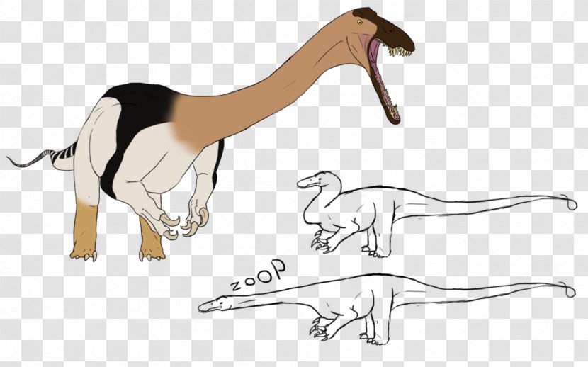 Cat Dog Drawing Camel Pet - Hand Transparent PNG