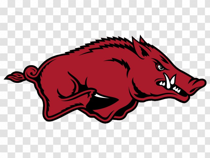 Arkansas Razorbacks Football University Of Baseball Southeastern Conference Men's Basketball - Feral Pig - Hogs Transparent PNG