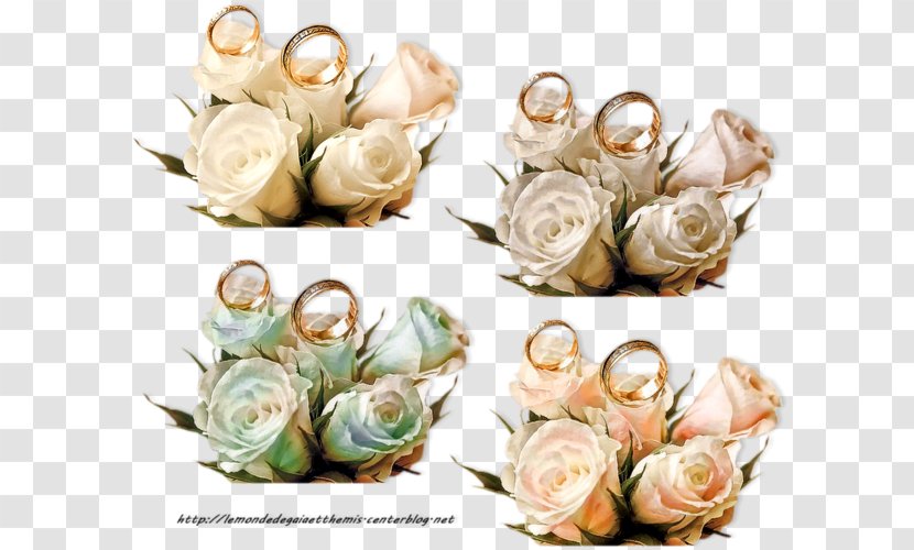 Garden Roses Marriage Flower Bouquet PhotoFiltre - Color - Mariage Transparent PNG