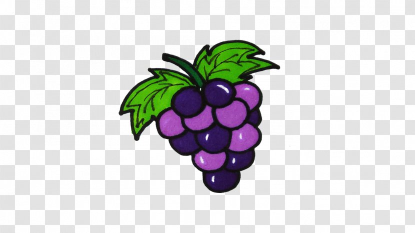 Grape Clip Art - Seedless Fruit Transparent PNG