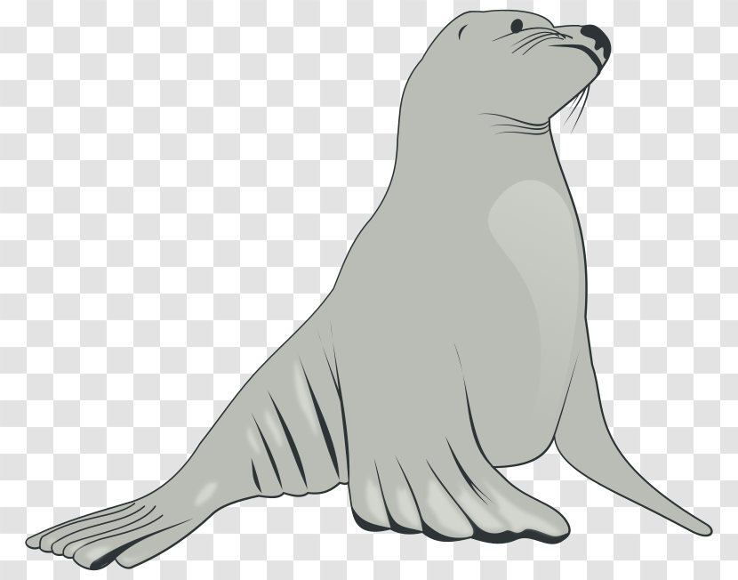Sea Lion Pinniped Clip Art - Animals Transparent PNG
