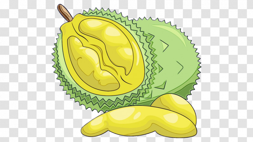 Yellow Fruit Durian Plant Food Transparent PNG