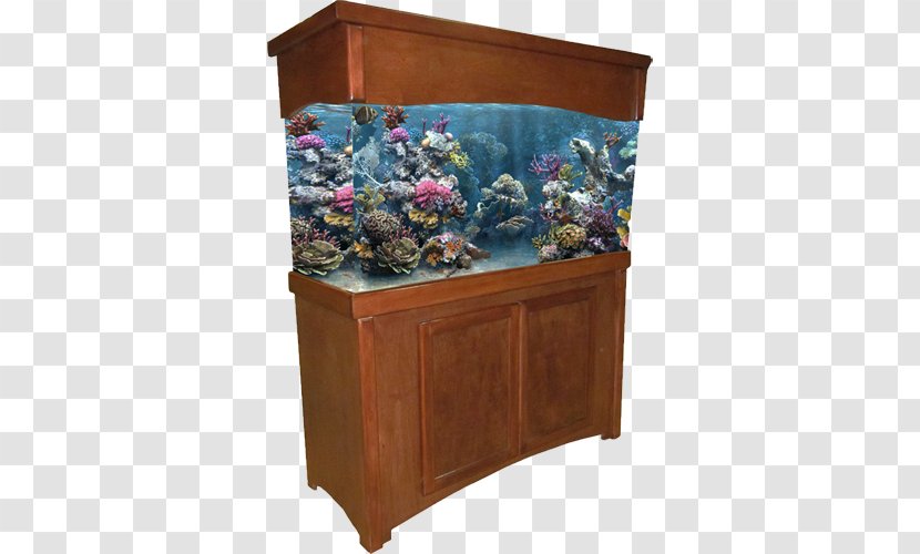 Aquariums Pet Aquarium Furniture Sump - Fish Tank Transparent PNG