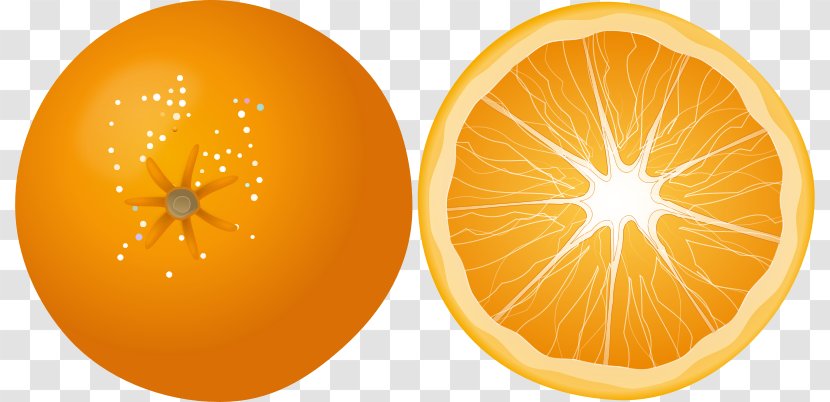 Orange Clip Art - Fruit - Fruits Clipart Transparent PNG
