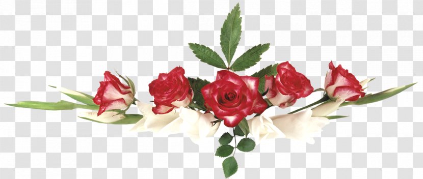 Desktop Wallpaper Yandex Search Garden Roses - Flowering Plant - Flower Bouquet Transparent PNG