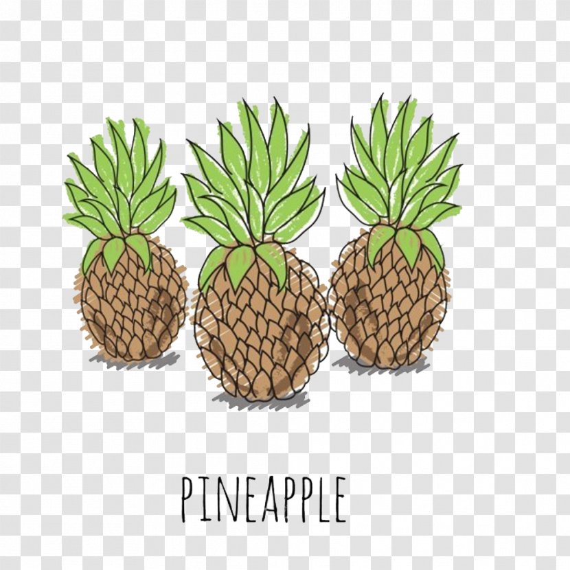 Pineapple Juice Euclidean Vector Illustration - Pineapples - Hand-painted Elements Transparent PNG