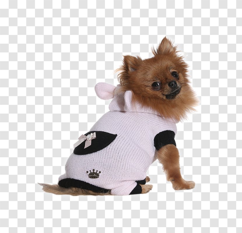 Dog Breed Pomeranian Puppy Companion Clothes - Fur - Bunny Princess Transparent PNG