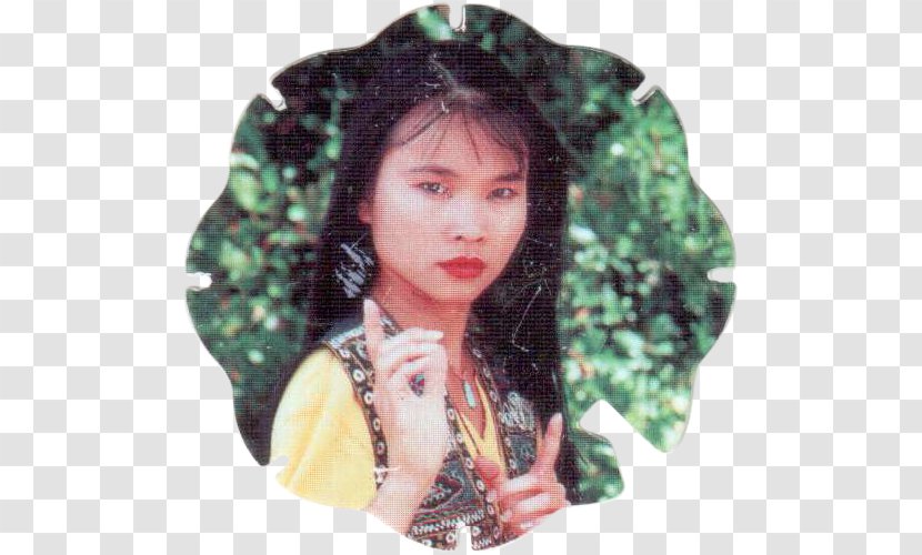 Thuy Trang Trini Kwan Mighty Morphin Power Rangers Actor 14 December Transparent PNG