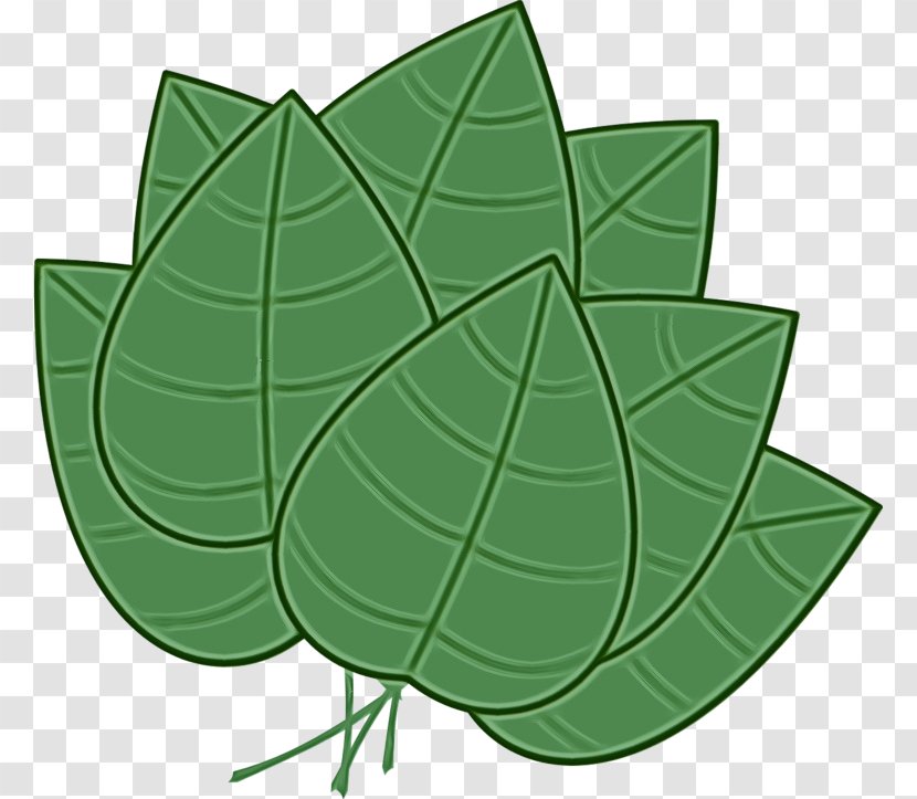 Ivy - Flower Transparent PNG