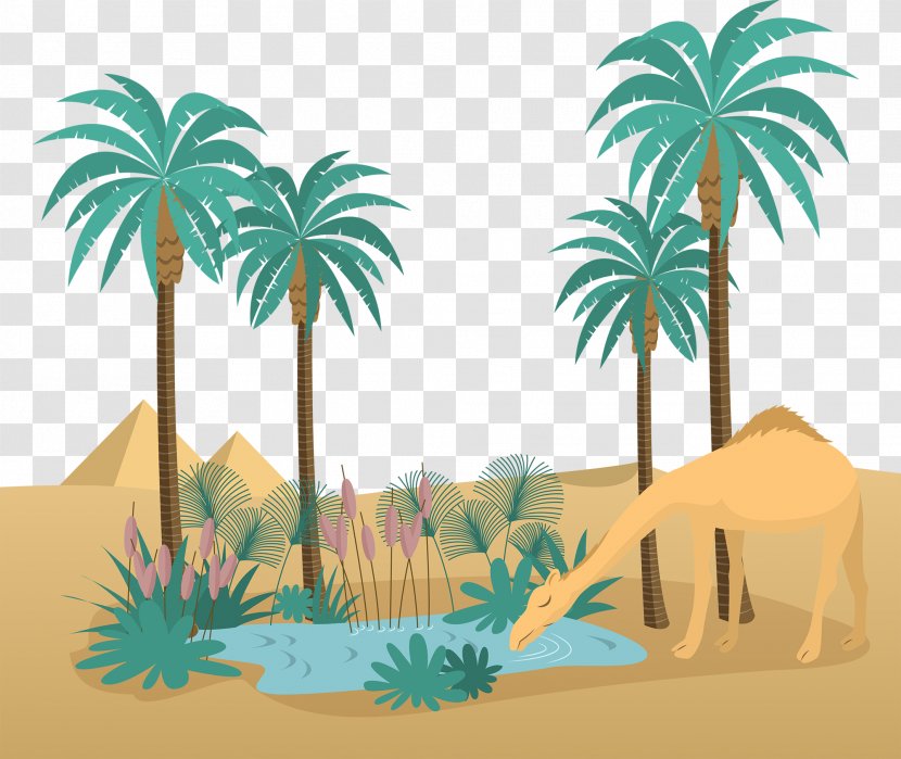 Vector Graphics Oasis Stock Illustration Clip Art - Date Palm - Desert Scenes Transparent PNG