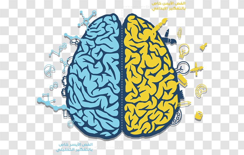 Human Brain - Heart - Infographic Transparent PNG